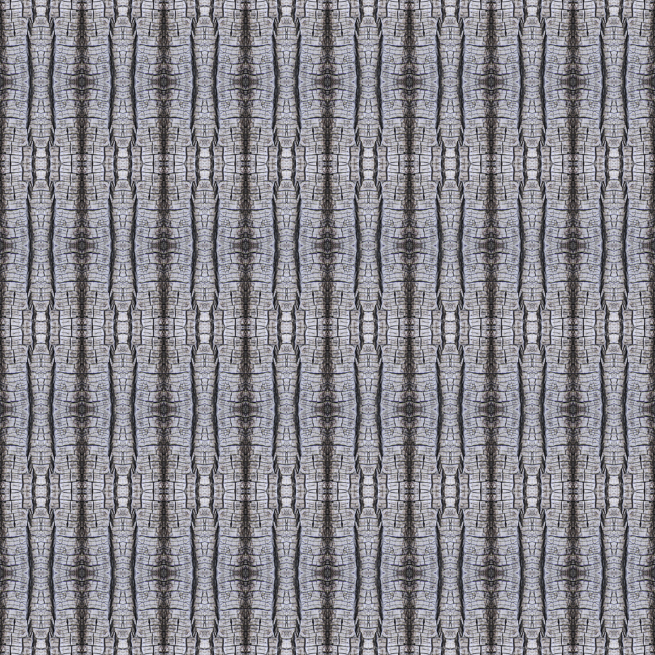Mojave Acacia Family