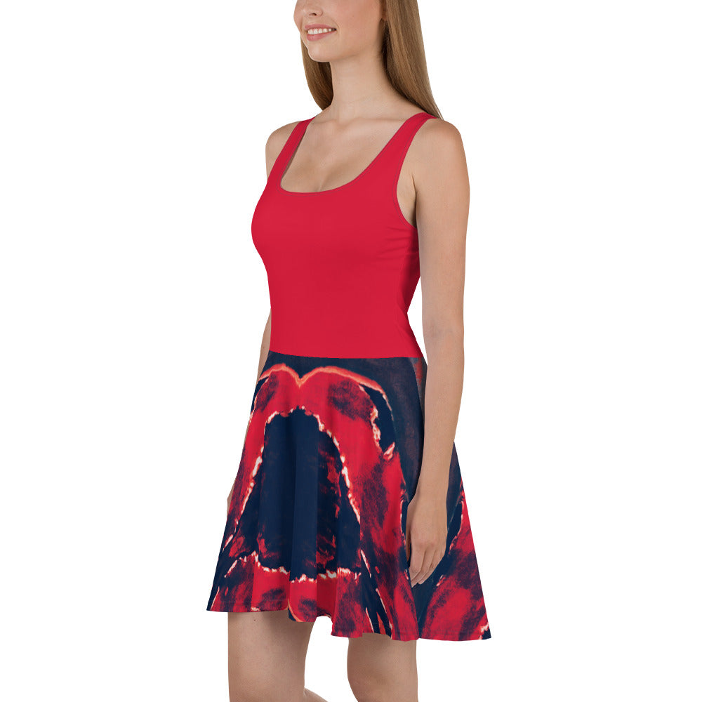 Gulf Shore Sleeveless Skater Dress Triboca Arts